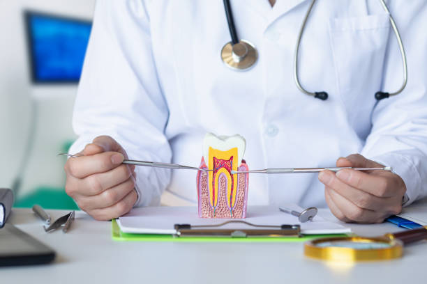 Best Emergency Dental Care for Broken or Chipped Teeth in Marcus, IA